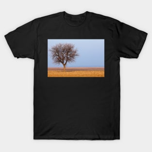 Single tree in plow land T-Shirt